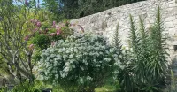 Gîte Cosy et Calme, Avec spa et Jardin, au Cœur de Morlaix - Wifi