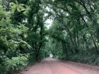 SPRING DISCOUNT Charming 3 bedroom log cabin near Bella Vista Ar. Private