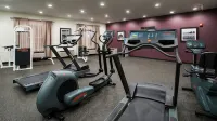 Holiday Inn Express & Suites WYOMISSING by IHG - Gym