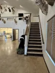 Spacious modern lodge outside of city - Homestays