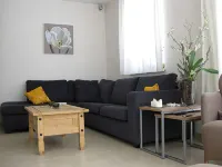 Luxury vacation home for summer with private pool and winter at the slopes - Homestays