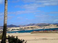 Luxury studio for beach lovers - apartment by the sea under palm trees - Beach