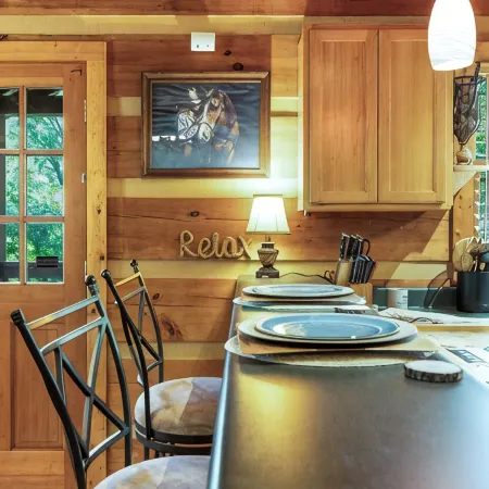 Creekside Cozy Cabin:Minutes to UTK, Dtwn Knox & M’ville ,Marina, & TYS airport