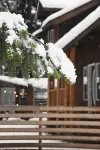 Cabin Nr CLE Elum Lake, Perfect Family Summer Getaway, Firepit, Fenced, GameRoom
