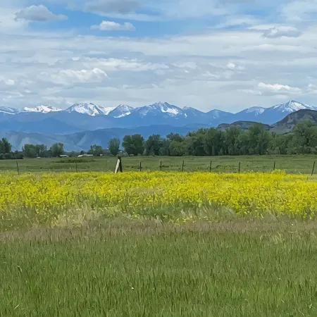 The Best View In Three Forks & A Short Walk to Downtown!
