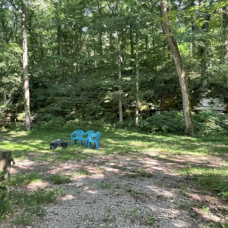 Papa Bears Cozy Cabin at Up The Creek