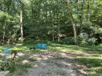 Papa Bears Cozy Cabin at Up The Creek