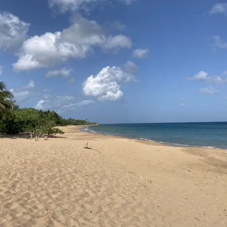 Coco-mango Apt. B, Studio Cosy, vue mer à 250 m de la Plage de la Perle