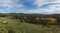 Forest Estate Guest Quarters-Seclusion- Just Minutes from Town