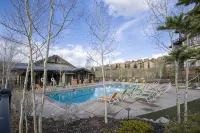Colorado's Coolest Ski In/Out Home - World Class Mtn. Biking, Hiking & Fishing - 4-Star