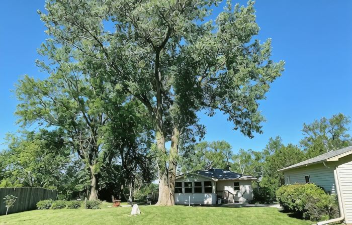 Cheerful two bedroom home in quiet neighborhood. Sun Porch ~ Patio ~  Large yard