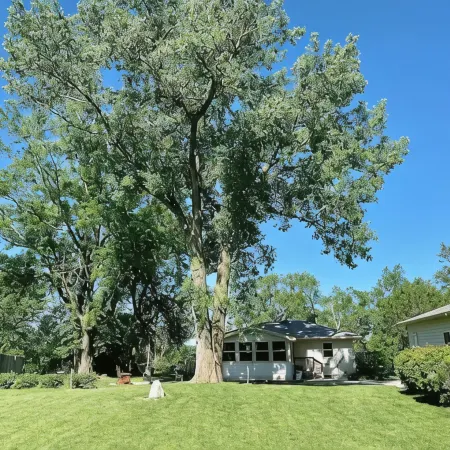 Cheerful two bedroom home in quiet neighborhood. Sun Porch ~ Patio ~  Large yard