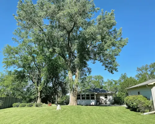 Cheerful two bedroom home in quiet neighborhood. Sun Porch ~ Patio ~ Large yard Hotels in Lewis