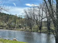Lovely 3 Bedroom Rental on the Au Sable River Hotel di Jay