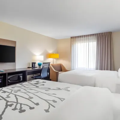 Sleep Inn Bowling Green North Hotels near National Corvette Museum
