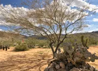 Clever Rabbit: 5-Acre Retreat Joshua Tree National Park with Starlink Internet - بوتيك