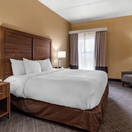 Comfort Inn & Suites at Stone Mountain