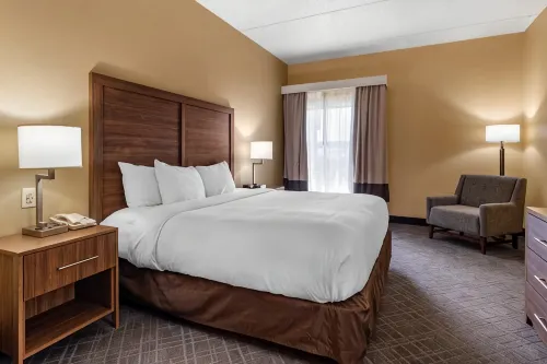 Comfort Inn & Suites at Stone Mountain - 2-Star