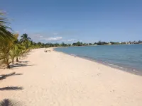 Paradise Inn Placencia - Turtle Suite on the beach - Apartments