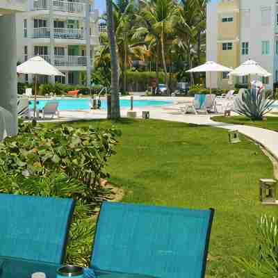 Playa Turquesa K-101- Premier Beachfront Ocean/Garden View 100mbps Wifi Others