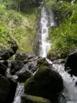 Nice And Cozy Apartment On The Municipal Golf Course In Hilo - Apartments