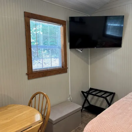 Tiny Cabin in the Laurels, with queen bed & queen sofa bed in wooded setting.