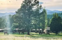 New! Whispering Bluff Luxury Retreat~ Beautiful Sierra Blanca Views - 4-Star
