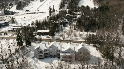 Modern Mount Snow Gnarvana - Steps to Carinthia - 4-Star