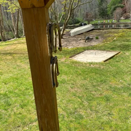 North GA Mountain Paradise Natural Swimming Pool and Stream