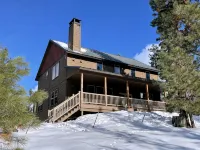 Secluded cabin on 6 acres- wood fireplace- sleeps 11 - Chalets