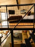 Eco Lux Mapua | Inlet Views, Outdoor Bath & Fire - Apartments