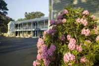 Southfleet Motor Inn - 2-Star