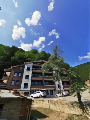 Liva Teras uzungol