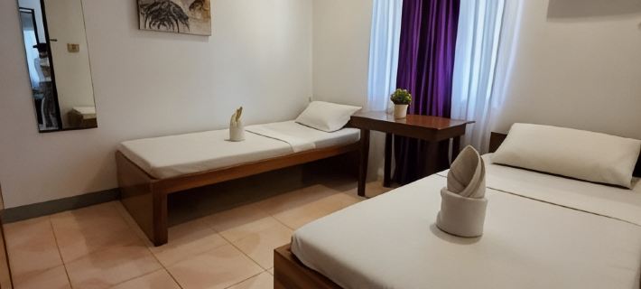 Ricardo Valley Inn Hotels in Coron