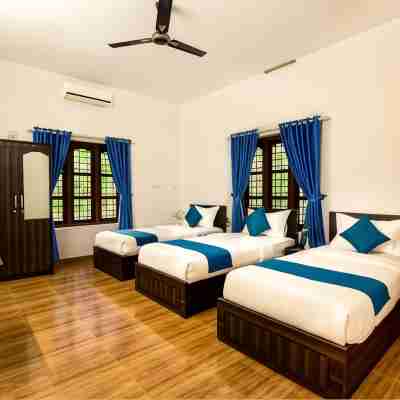 Three Roots Resort Rooms