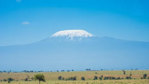 Amanya Double Pitch Tent with Mt Kilimanjaro View