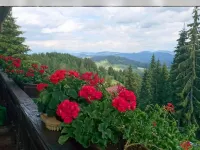 Wohnen mit Weitblick Über die Gipfel Hotels in Gemeinde Albeck