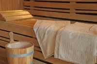 Waldhotel Luise - spa