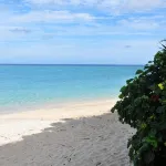 Sea Breeze
