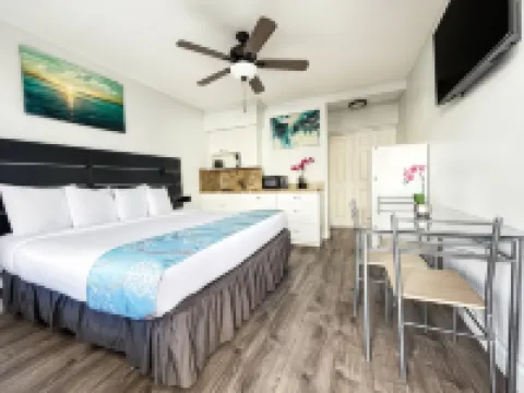 Hollywood Beach Flamingo