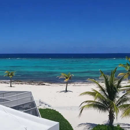 Sea Paradise # 24
