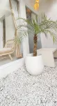 EZE Villas Jogja