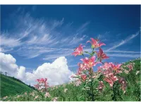 Imazu Sun Bridge Hotel