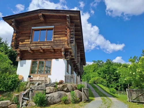 Quiet vacation apartment in a wooden house (on the edge of the forest)