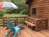 The Hermitage: An unplugged getaway in the woods on gorgeous Madeline Island.