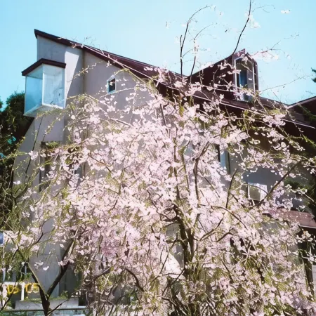Pension Aso No Tokeidai