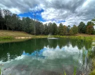 Beautiful 3 bedroom/4 bathroom house near Atwood Lake with stocked pond - Wifi