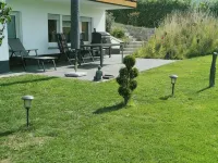 Relaxation in nature