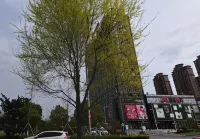 Wangyi E-Sports Hotel (Jiashan Yintai) - Airport Shuttle