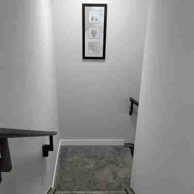 Cozy 1 bedroom basement suite in Southwest Calgary Others